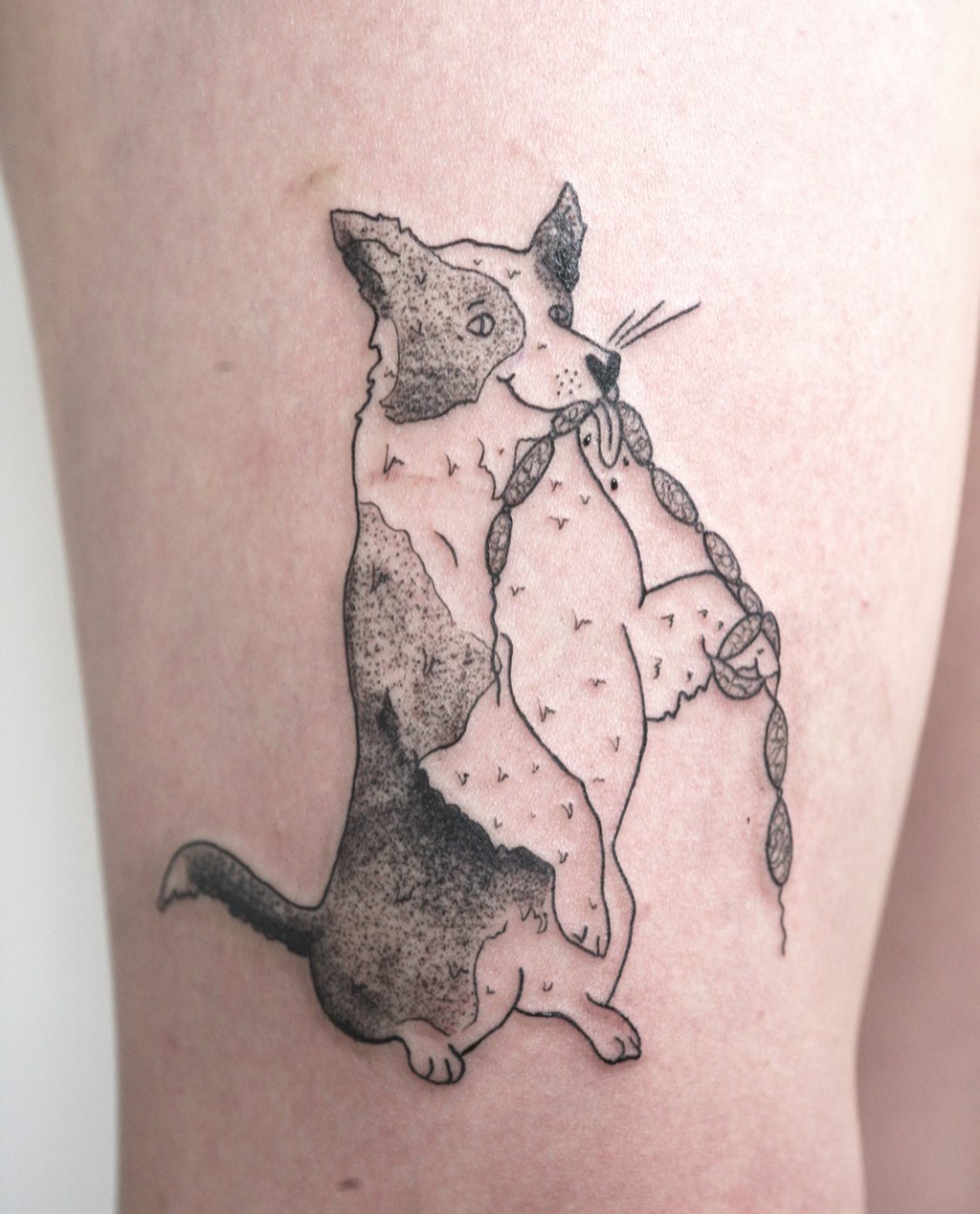 15 Border Collie Tattoo Ideas 10