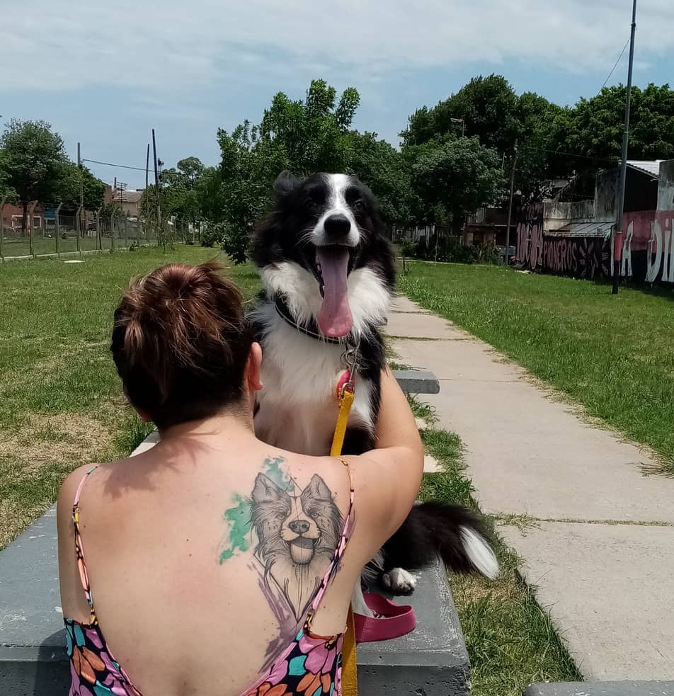 15 Border Collie Tattoo Ideas 10