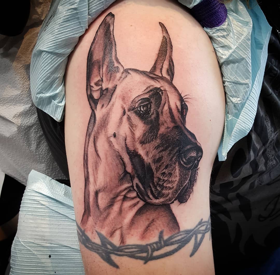 15 Great Dane Tattoo Ideas 11