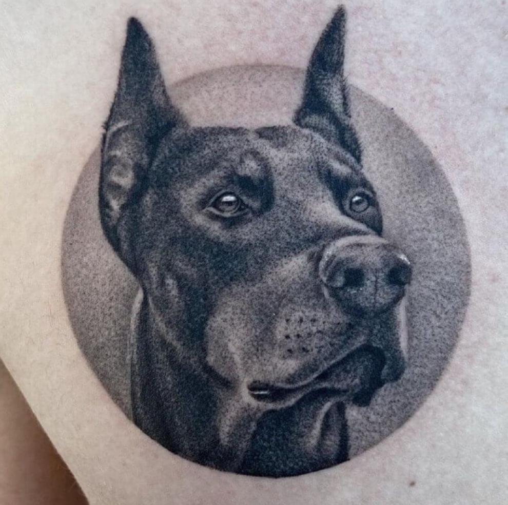 15 Doberman Pinscher Tattoo Ideas 9