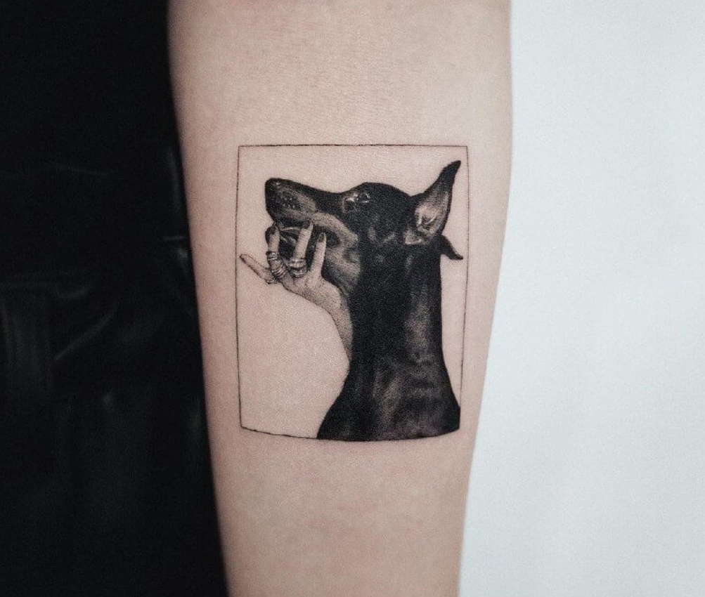 15 Doberman Pinscher Tattoo Ideas 10