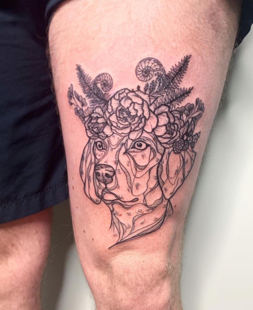 15 Ideas for a Weimaraner Tattoo 9