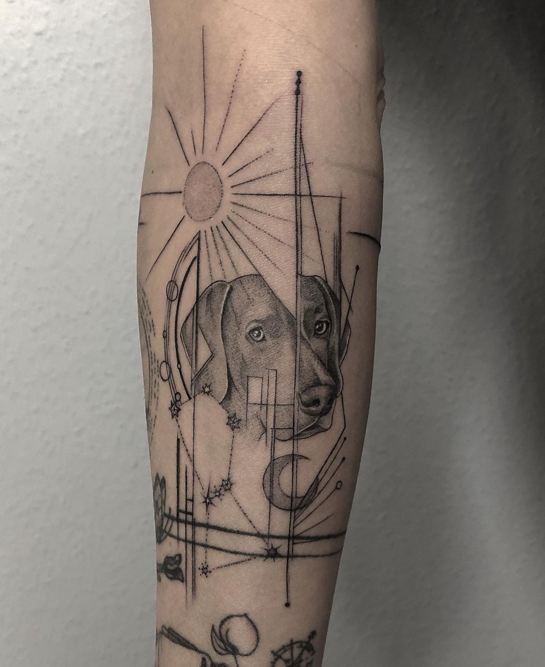 15 Ideas for a Weimaraner Tattoo 9