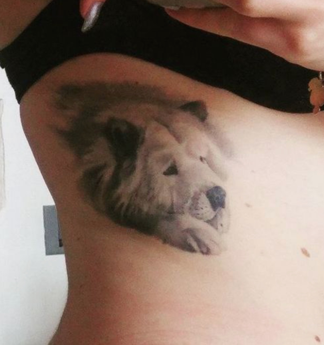 15 Ideas for Chow Chow Tattoo 11