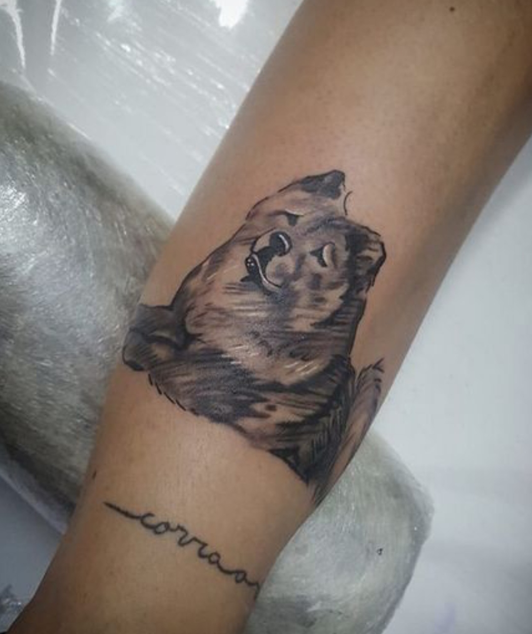 15 Ideas for Chow Chow Tattoo 10