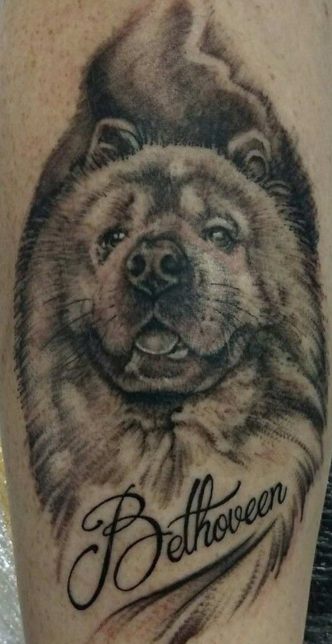 15 Ideas for Chow Chow Tattoo 9