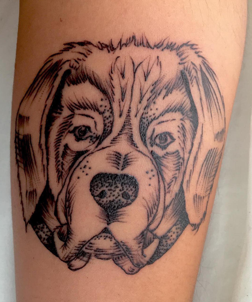 15 St Bernard Tattoo Ideas 11