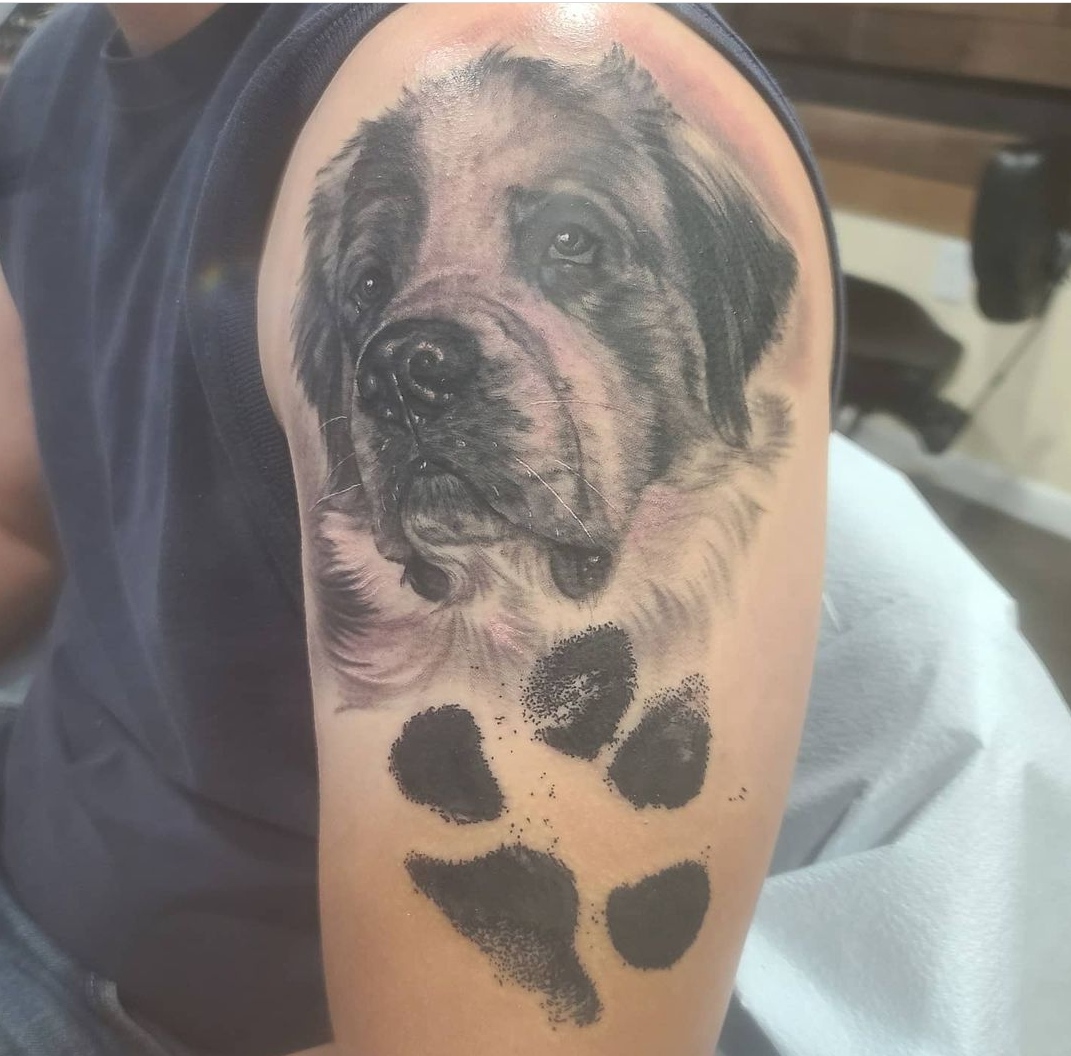 15 St Bernard Tattoo Ideas 11