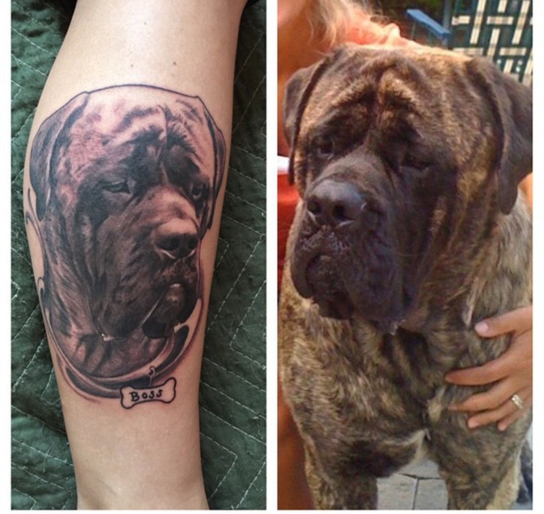 15 Ideas for an English Mastiff Tattoo 9