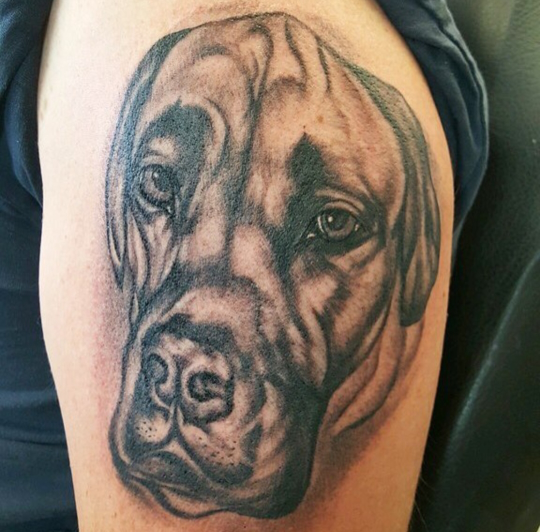 15 Ideas for an English Mastiff Tattoo 10