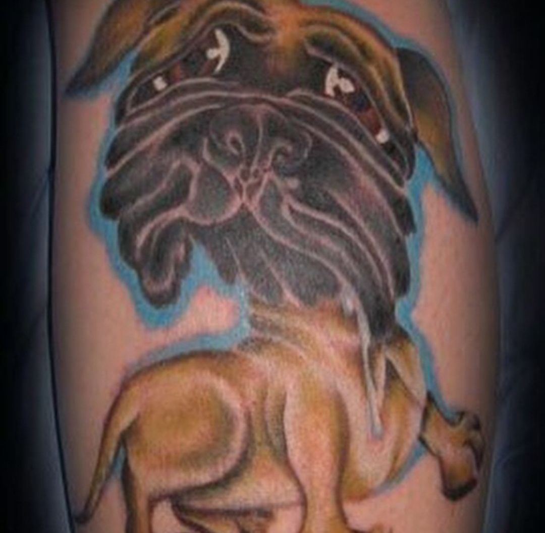 15 Ideas for an English Mastiff Tattoo 9