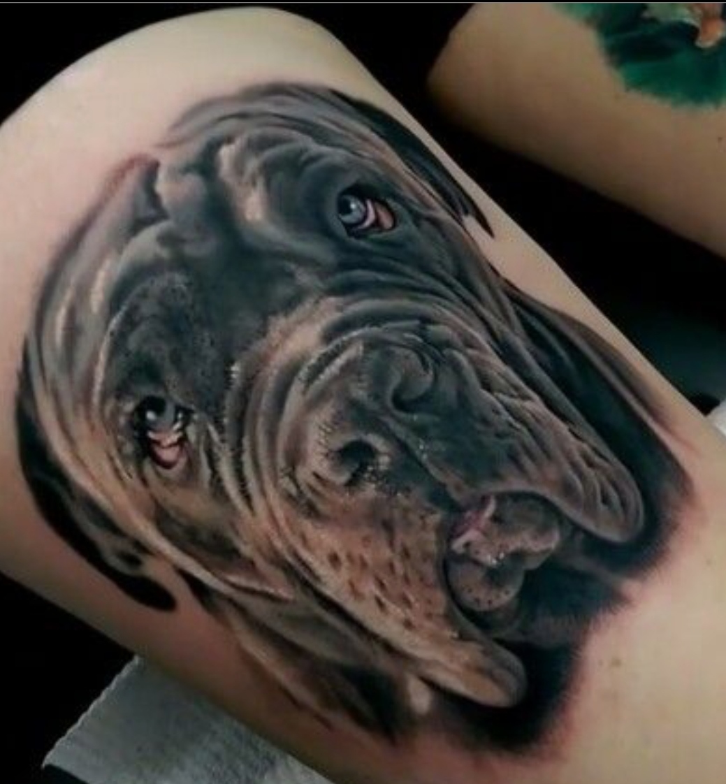 15 Ideas for an English Mastiff Tattoo 11