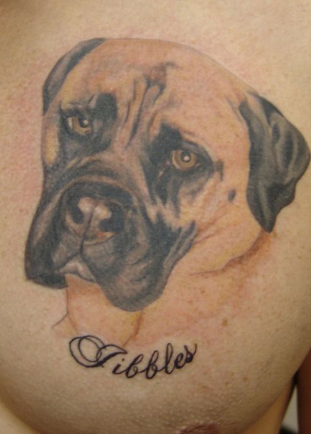 15 Ideas for an English Mastiff Tattoo 10