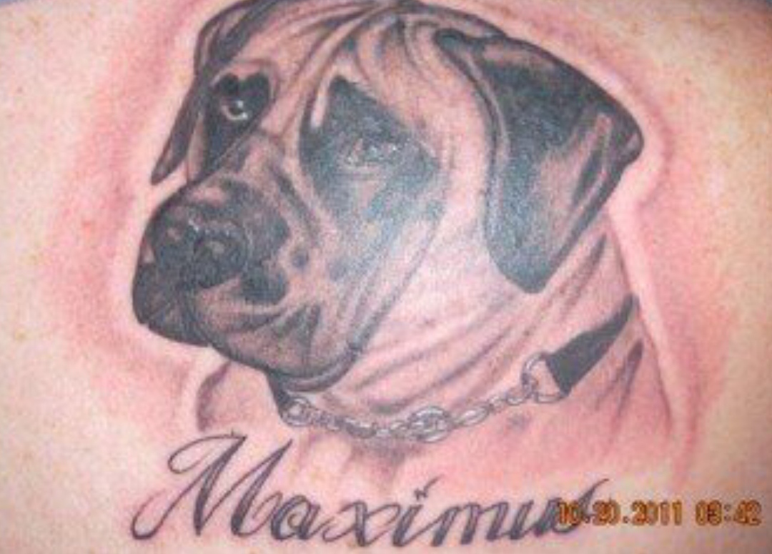 15 Ideas for an English Mastiff Tattoo 11