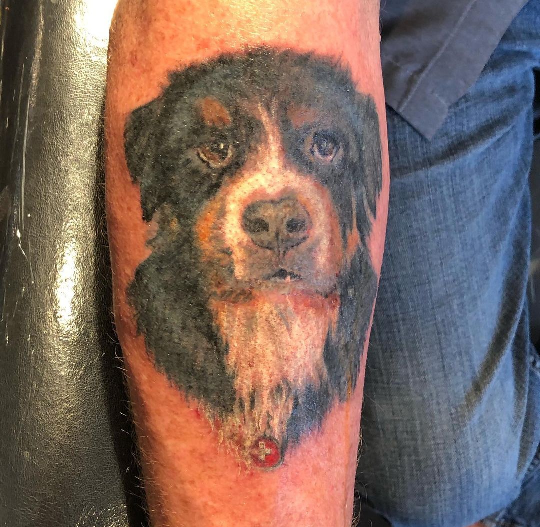 15 Bernese Mountain Dog Tattoo Ideas 11