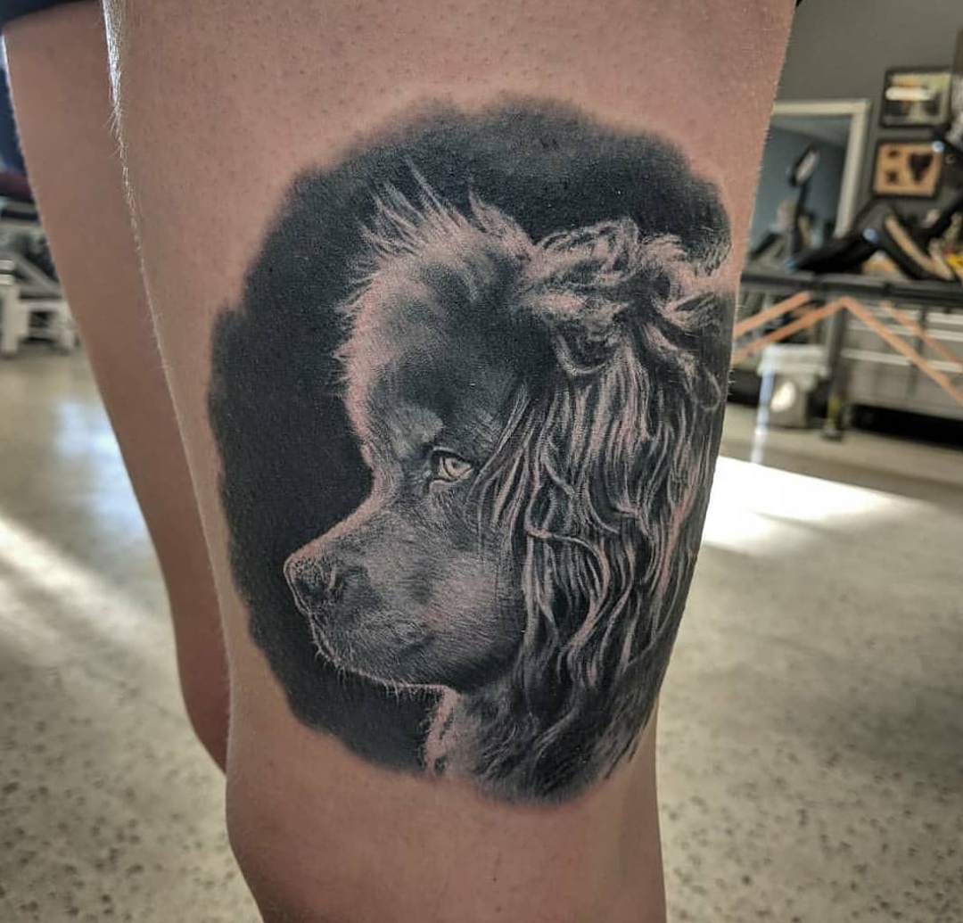 15 Bernese Mountain Dog Tattoo Ideas 10