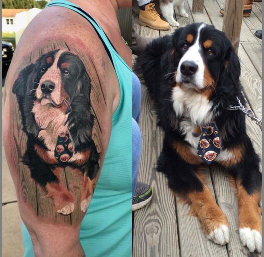 15 Bernese Mountain Dog Tattoo Ideas 11