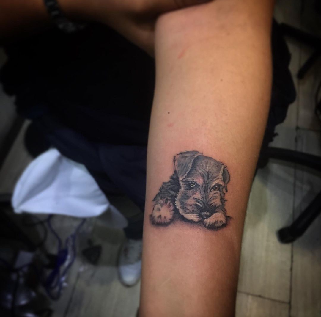 15 Ideas for Schnauzer Tattoo 9