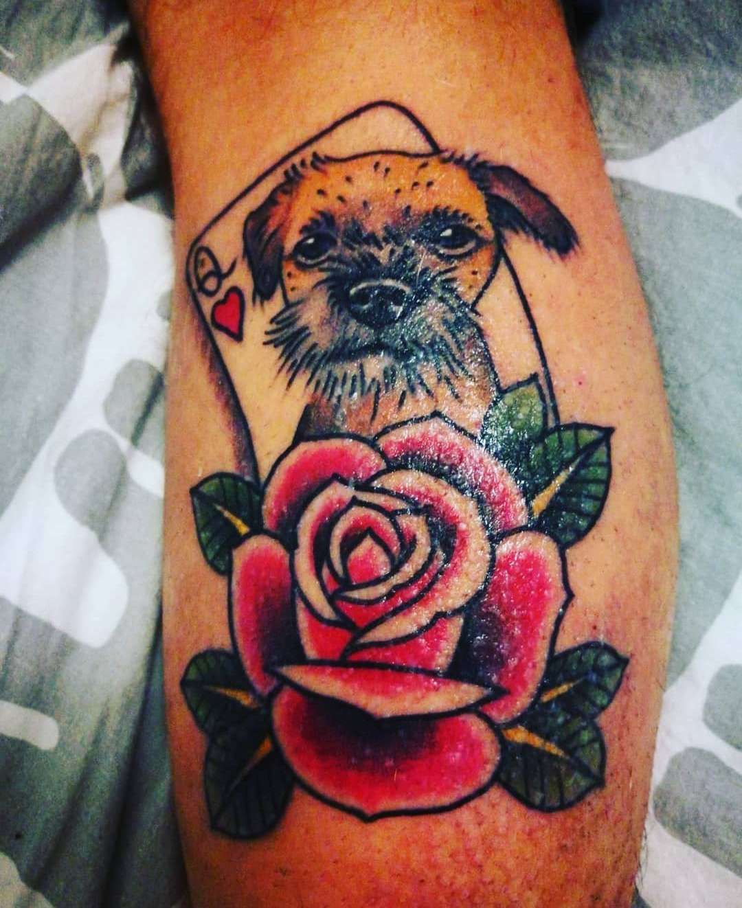15 Ideas for Border Terrier Tattoo 10