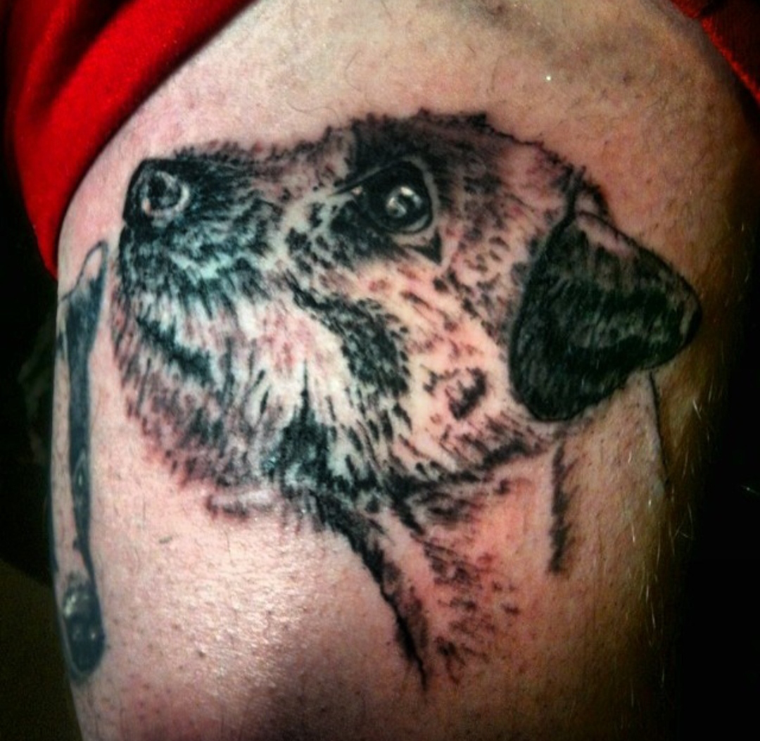 15 Ideas for Border Terrier Tattoo 9