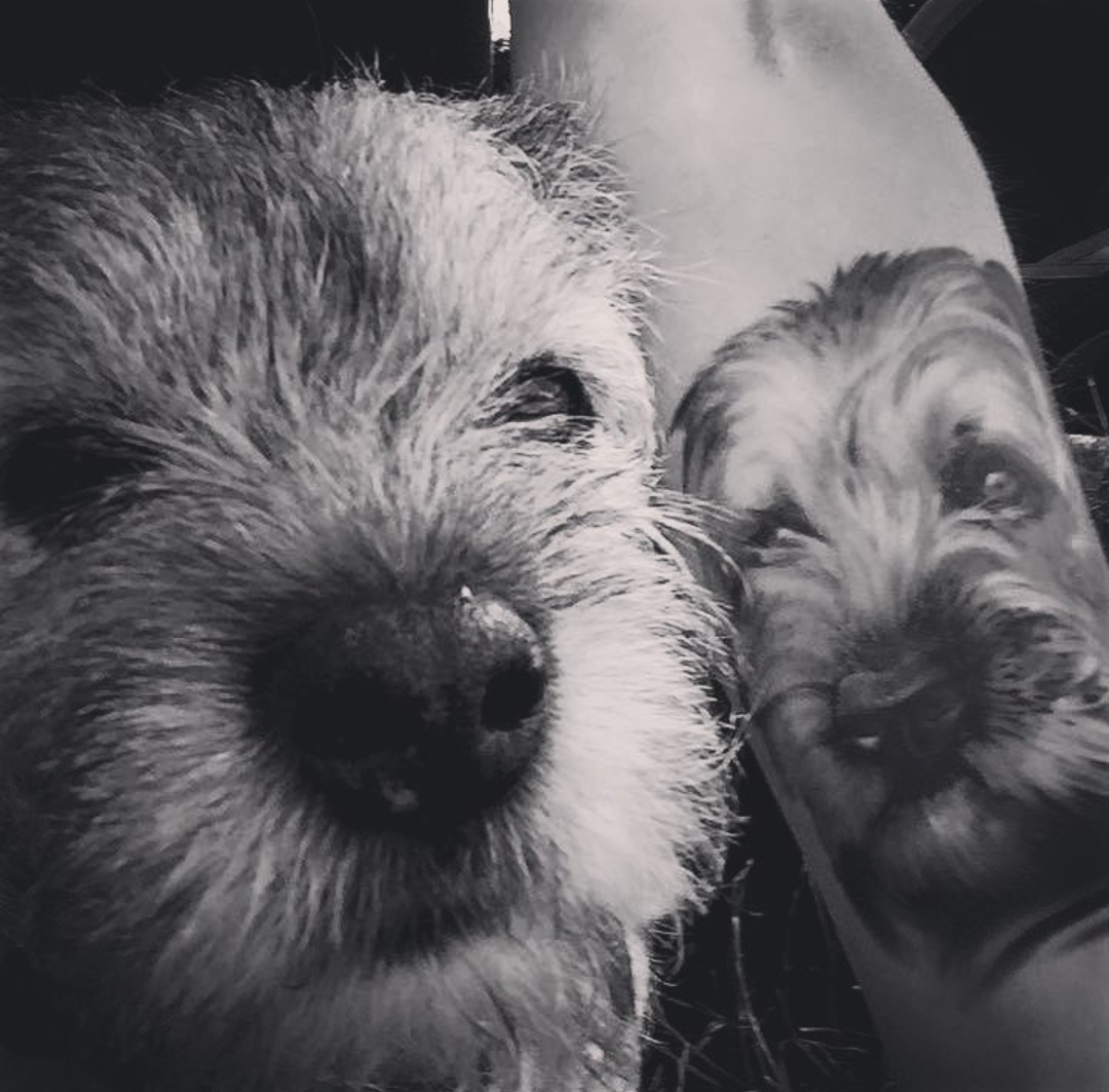 15 Ideas for Border Terrier Tattoo 10