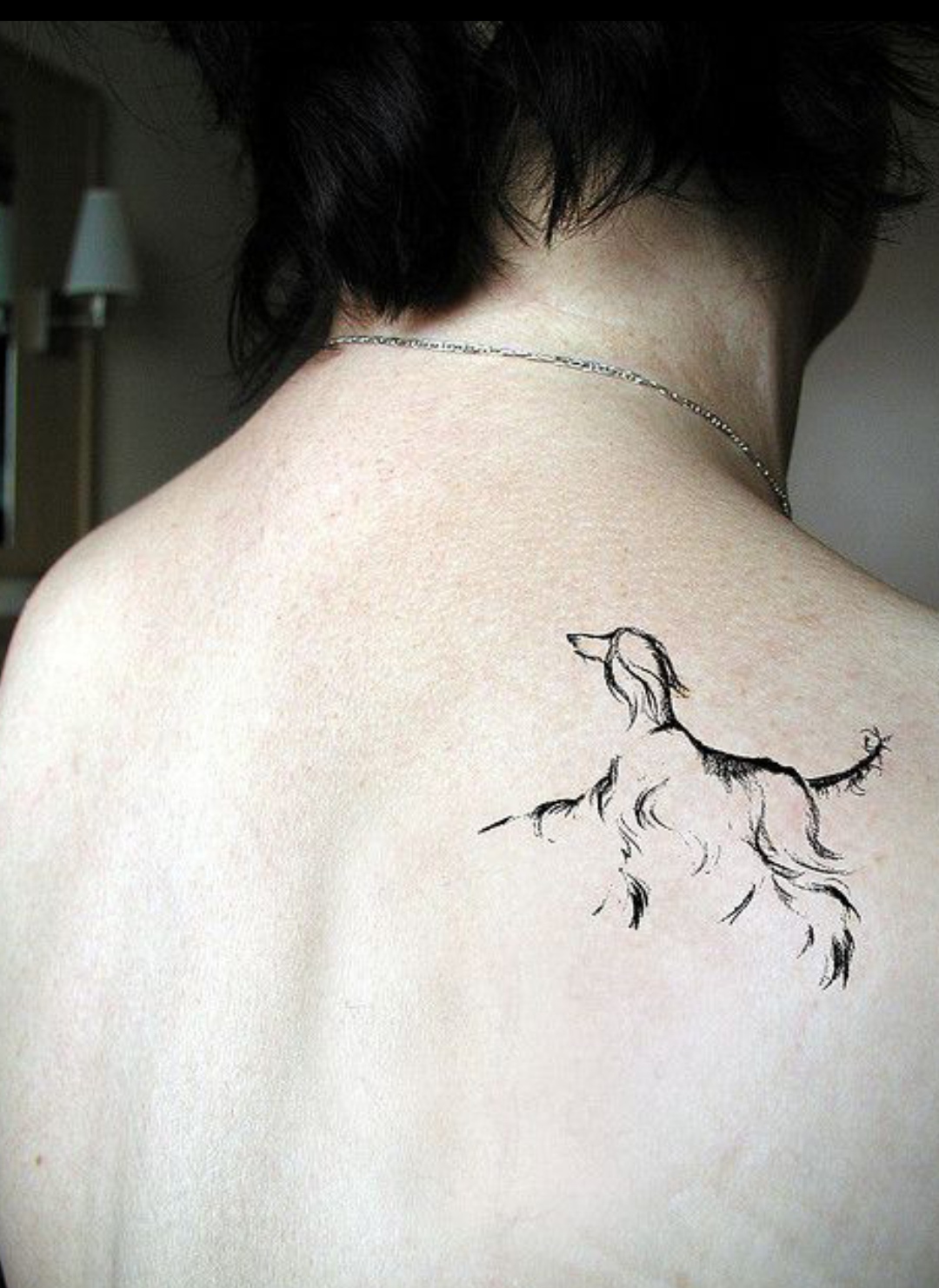 15 Afghan Hound Tattoo Ideas 9
