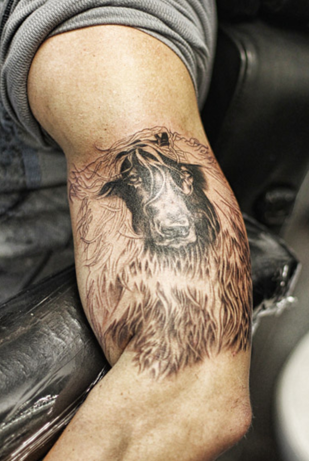 15 Afghan Hound Tattoo Ideas 11 15 Afghan Hound Tattoo Ideas 11