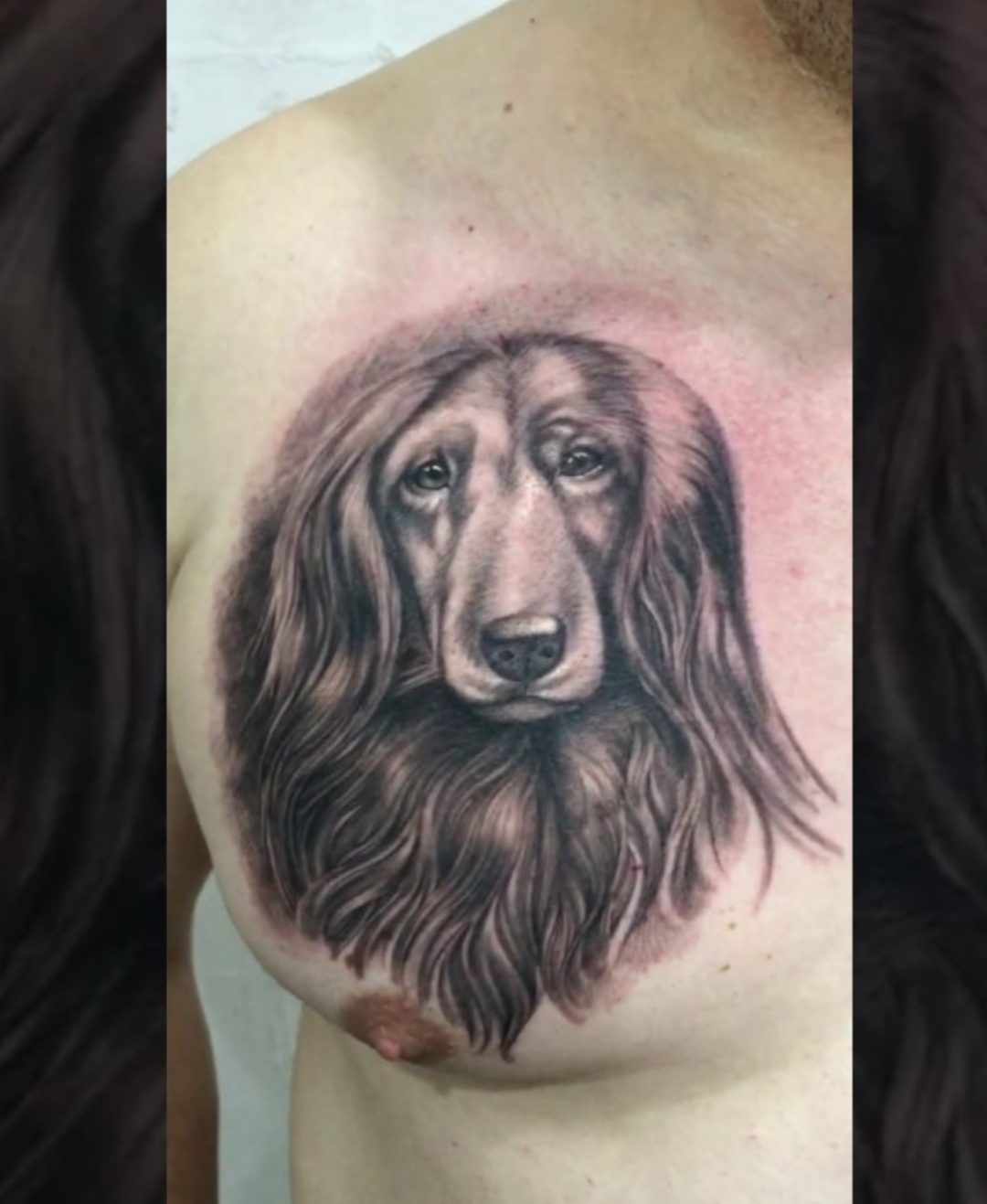 15 Afghan Hound Tattoo Ideas 9