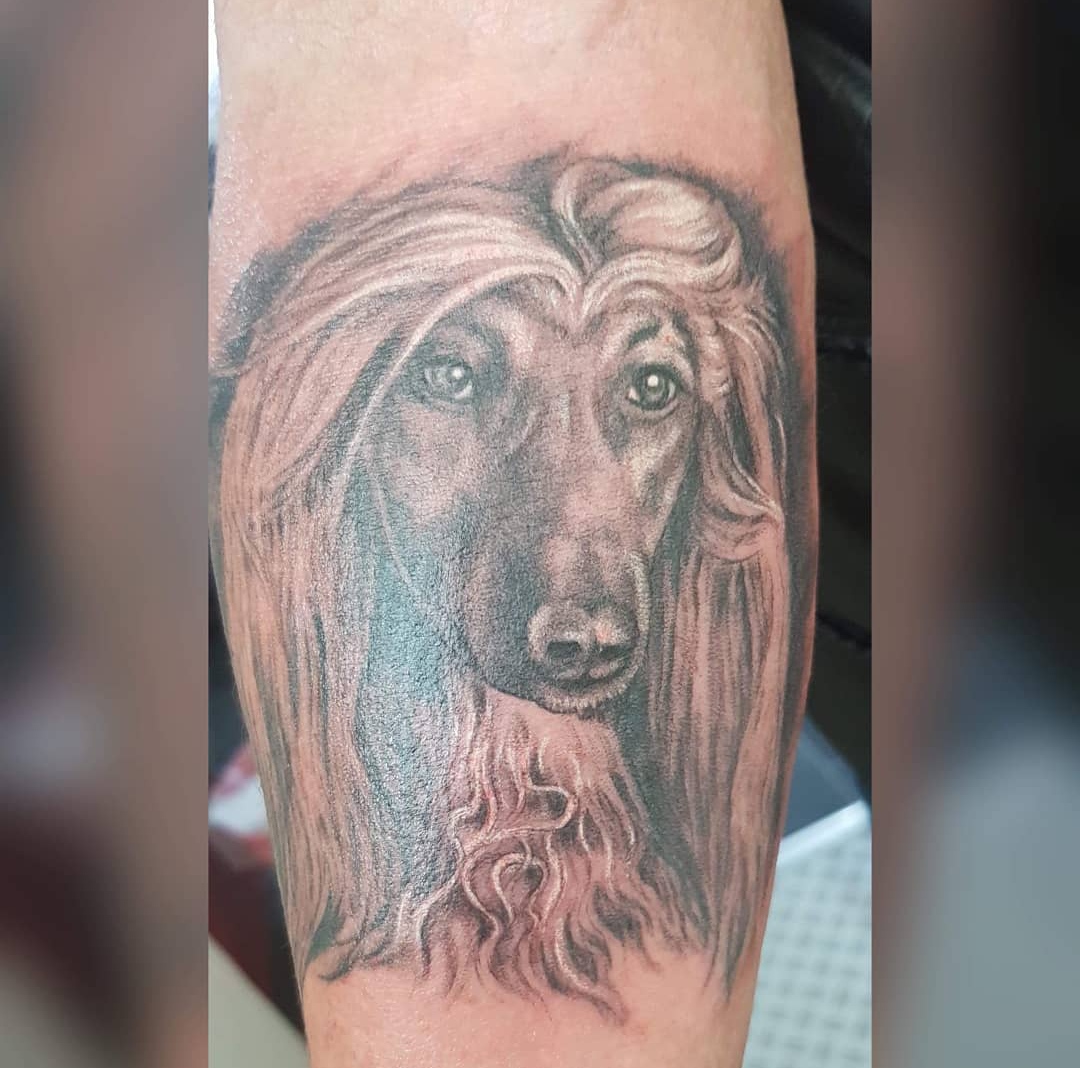 15 Afghan Hound Tattoo Ideas 11