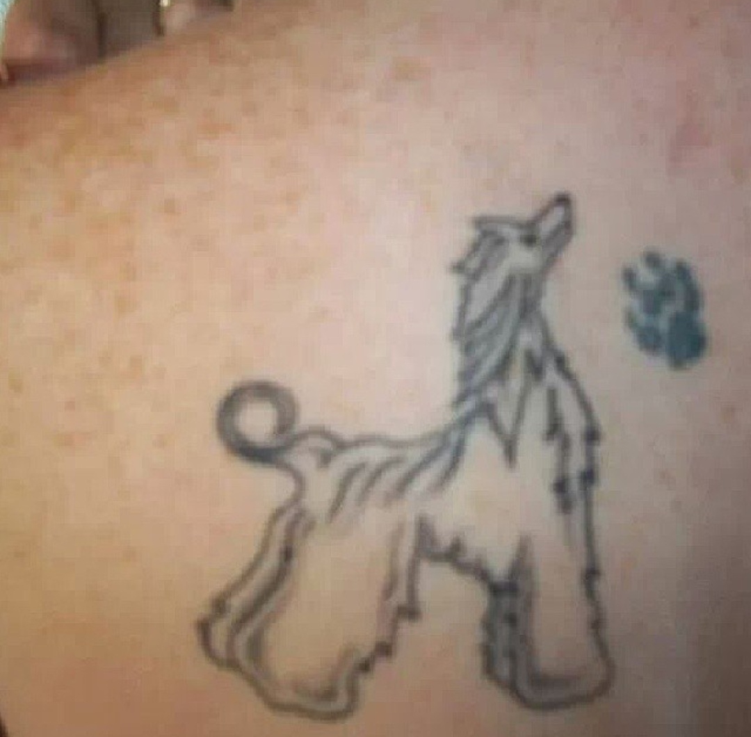 15 Afghan Hound Tattoo Ideas 11