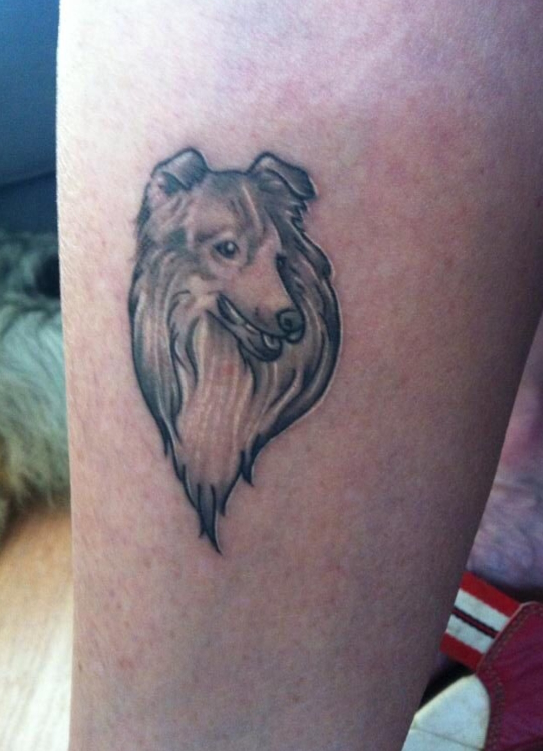 15 Afghan Hound Tattoo Ideas 9