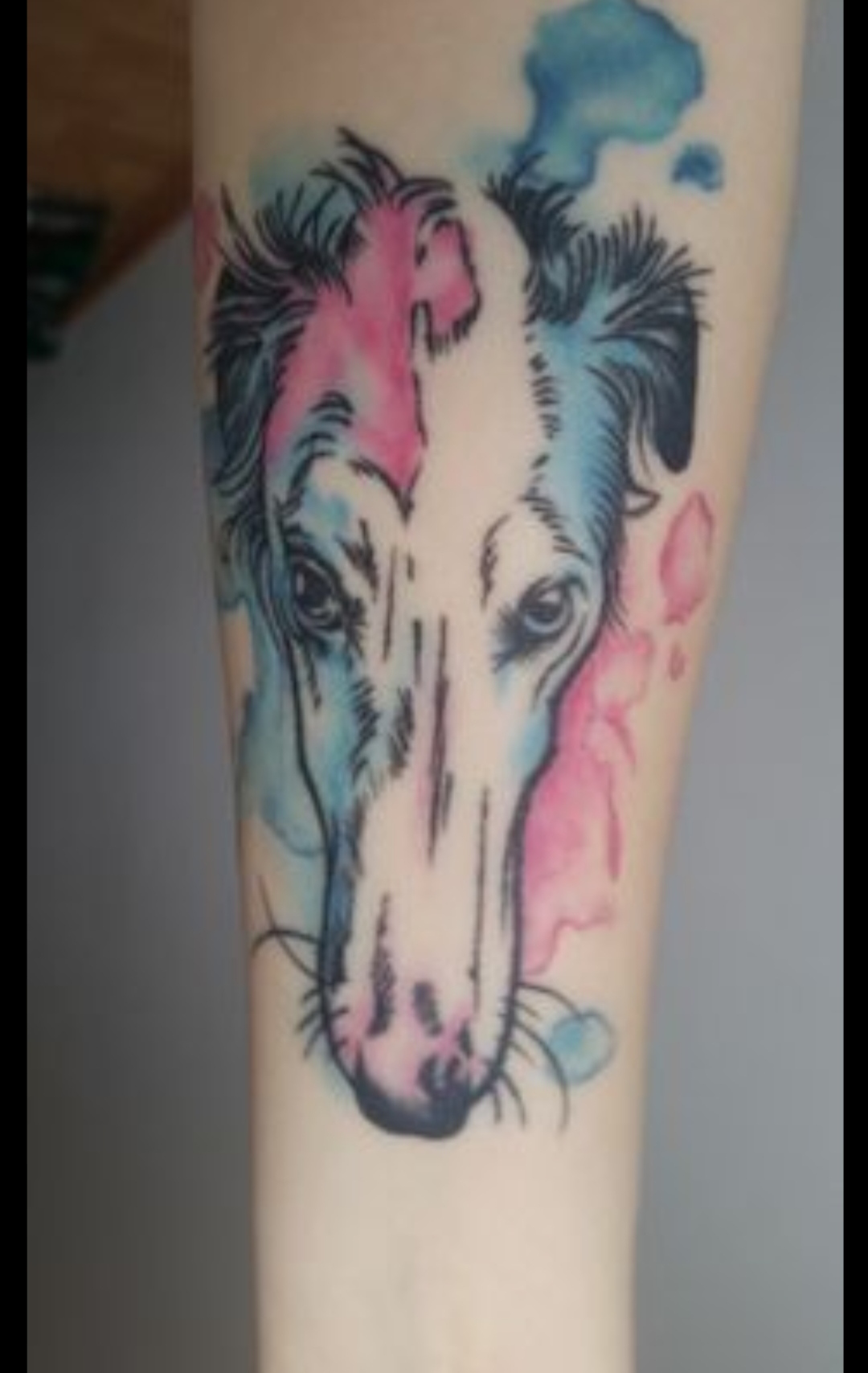 15 Afghan Hound Tattoo Ideas 11