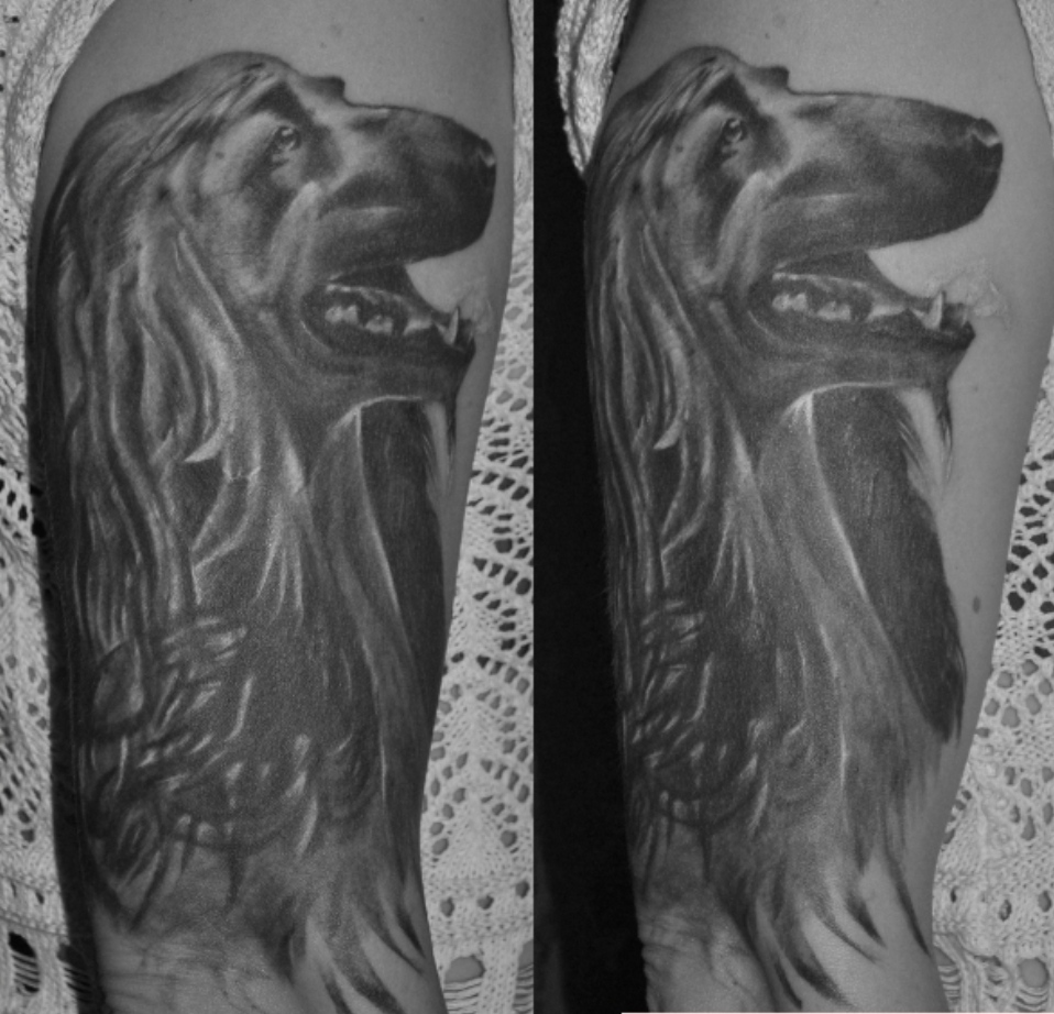 15 Afghan Hound Tattoo Ideas 9