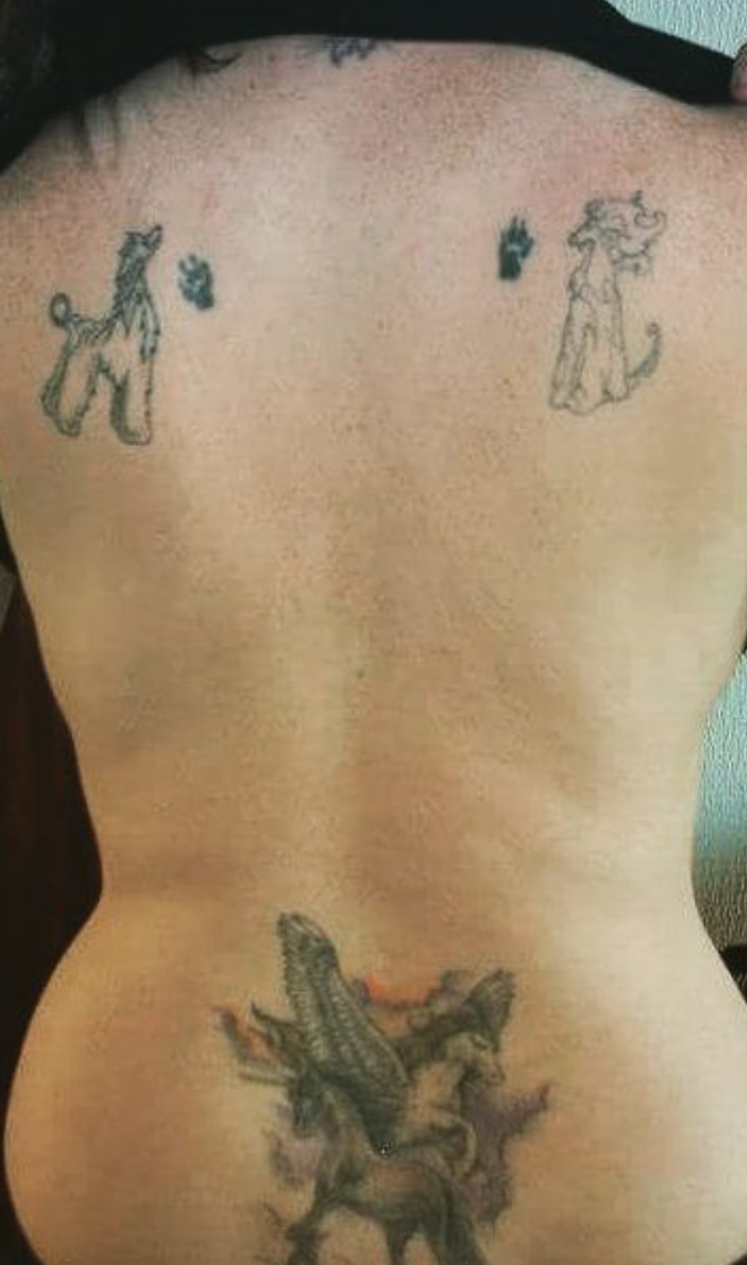 15 Afghan Hound Tattoo Ideas 11