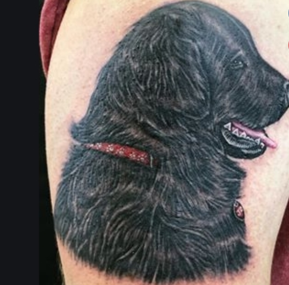 15 Newfoundland Tattoo Ideas 11