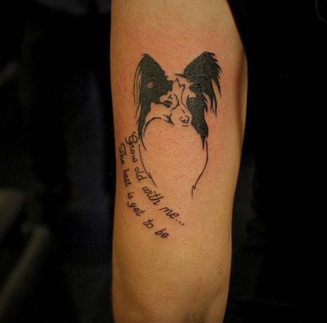 15 Papillon Tattoo Ideas 9