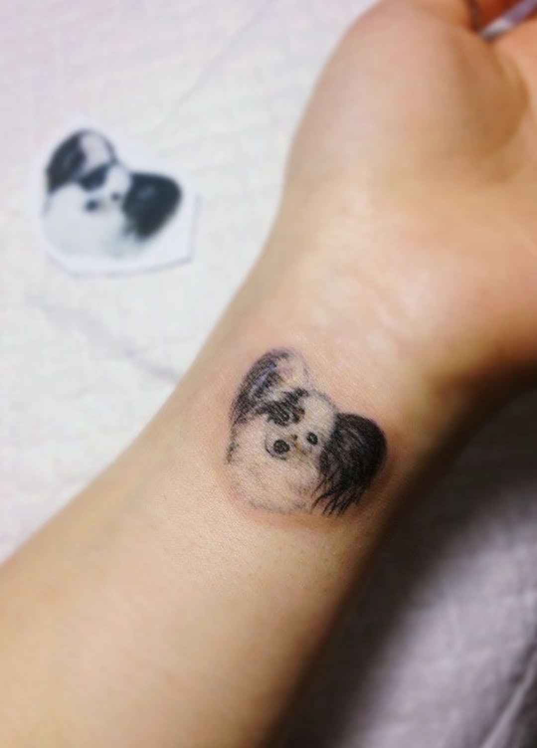 15 Papillon Tattoo Ideas 10