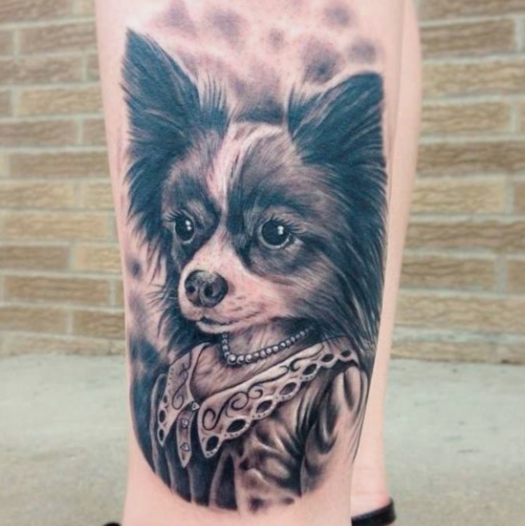 15 Papillon Tattoo Ideas 11