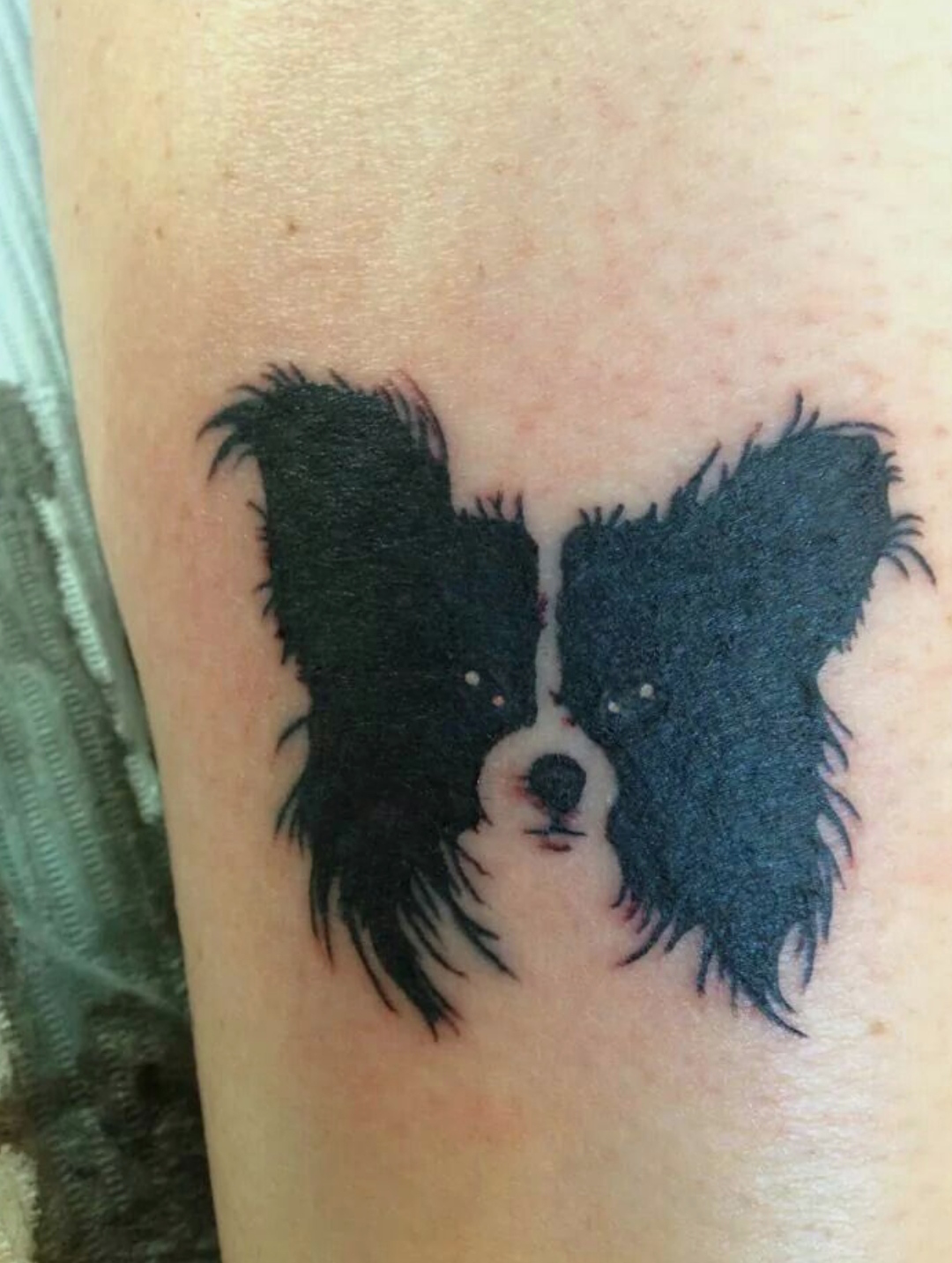 15 Papillon Tattoo Ideas 9