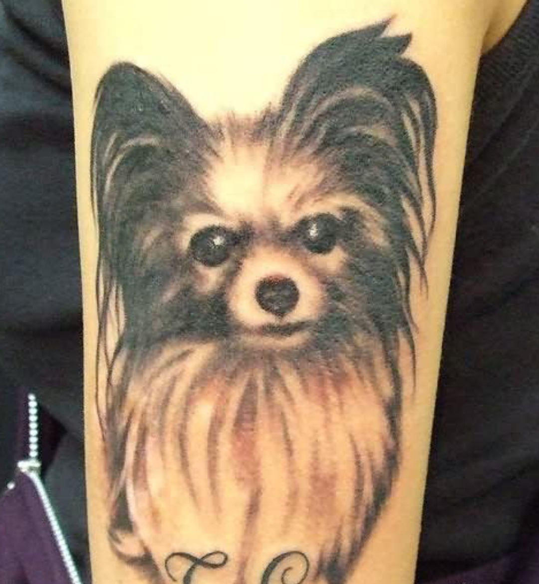 15 Papillon Tattoo Ideas 11