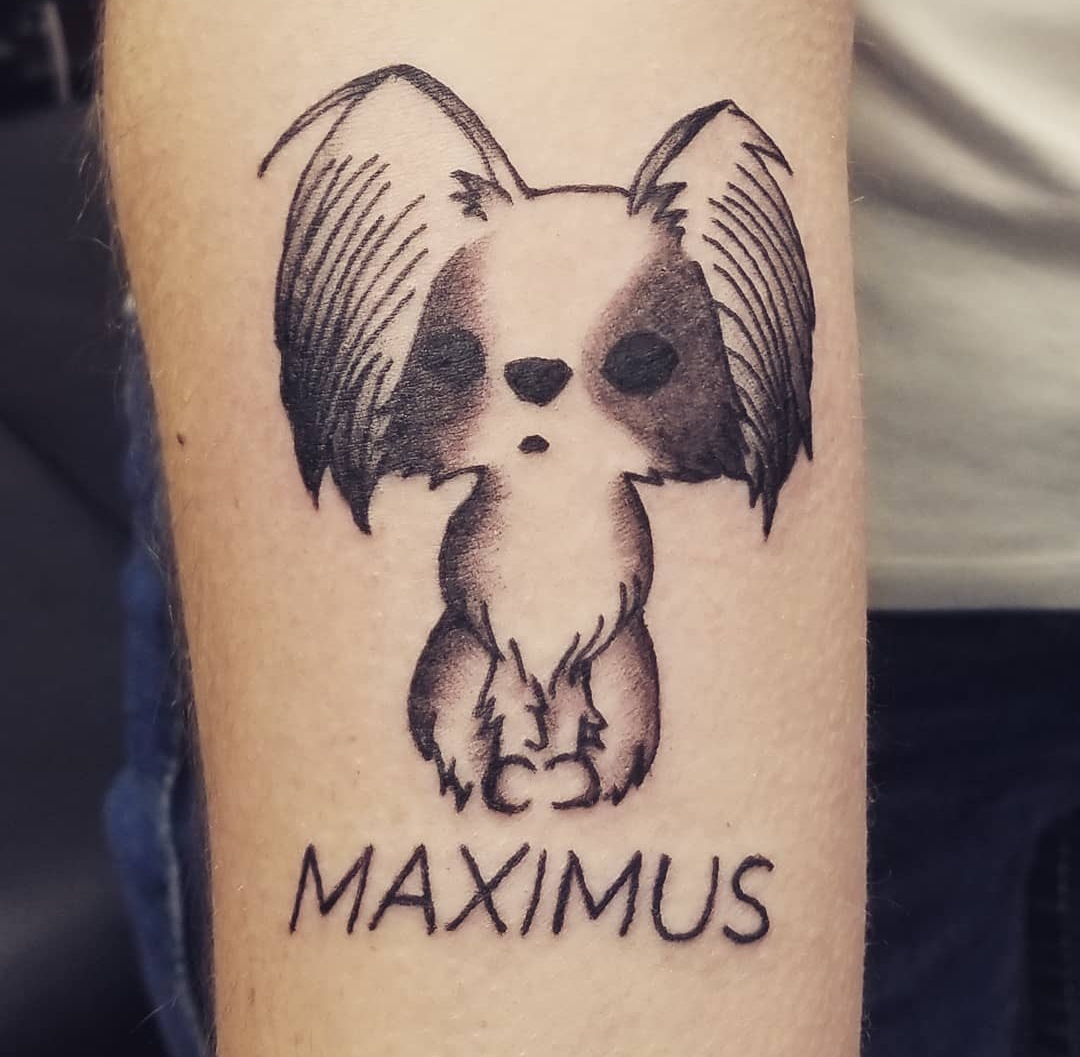 15 Papillon Tattoo Ideas 9