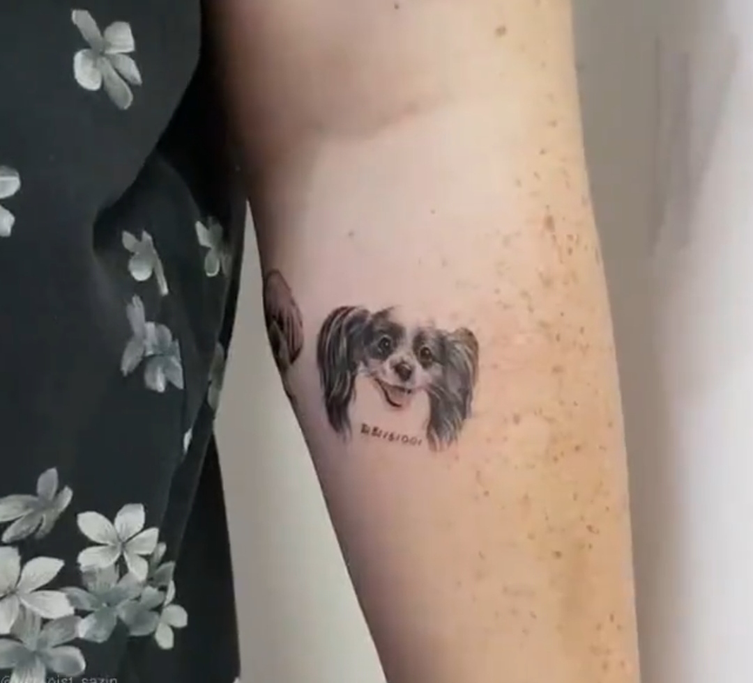 15 Papillon Tattoo Ideas 10