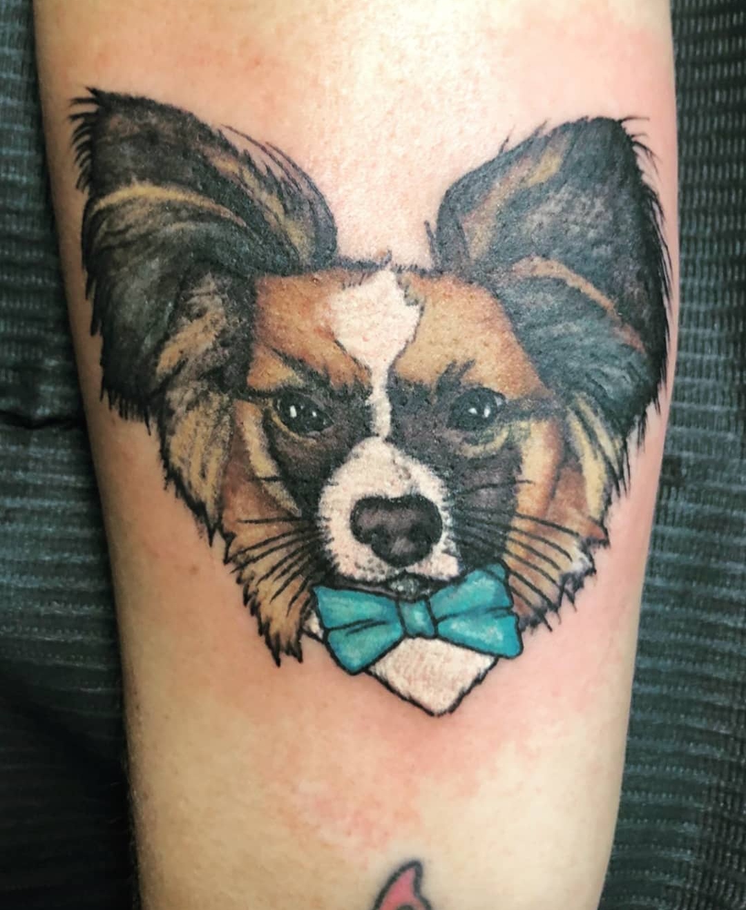 15 Papillon Tattoo Ideas 11