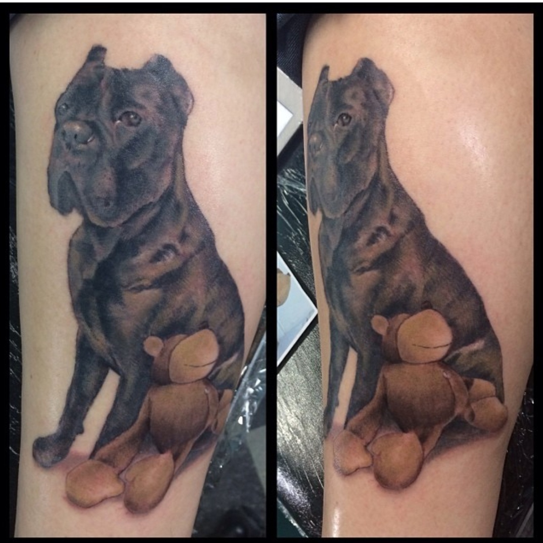 15 Ideas for Mastiff Tattoo 11