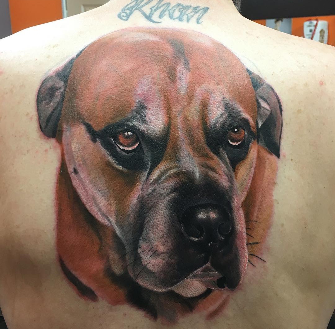 15 Ideas for Mastiff Tattoo 10
