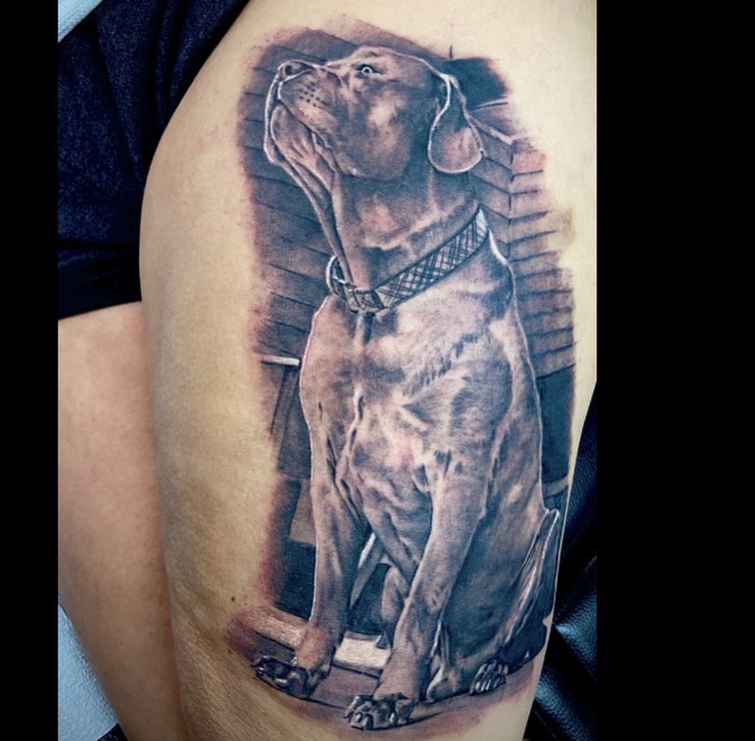 15 Ideas for Mastiff Tattoo 9