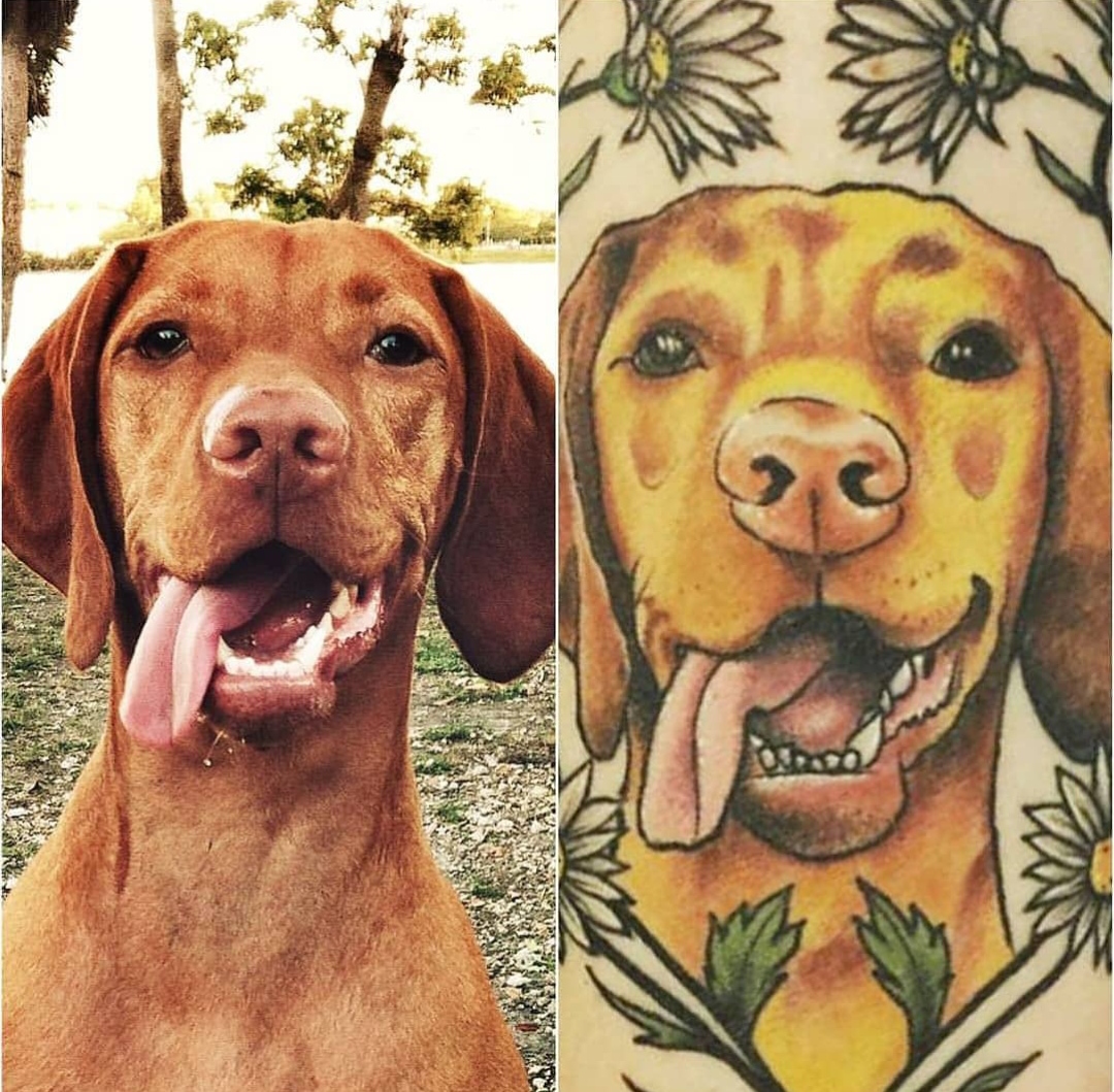 15 Vizsla Tattoo Ideas 9