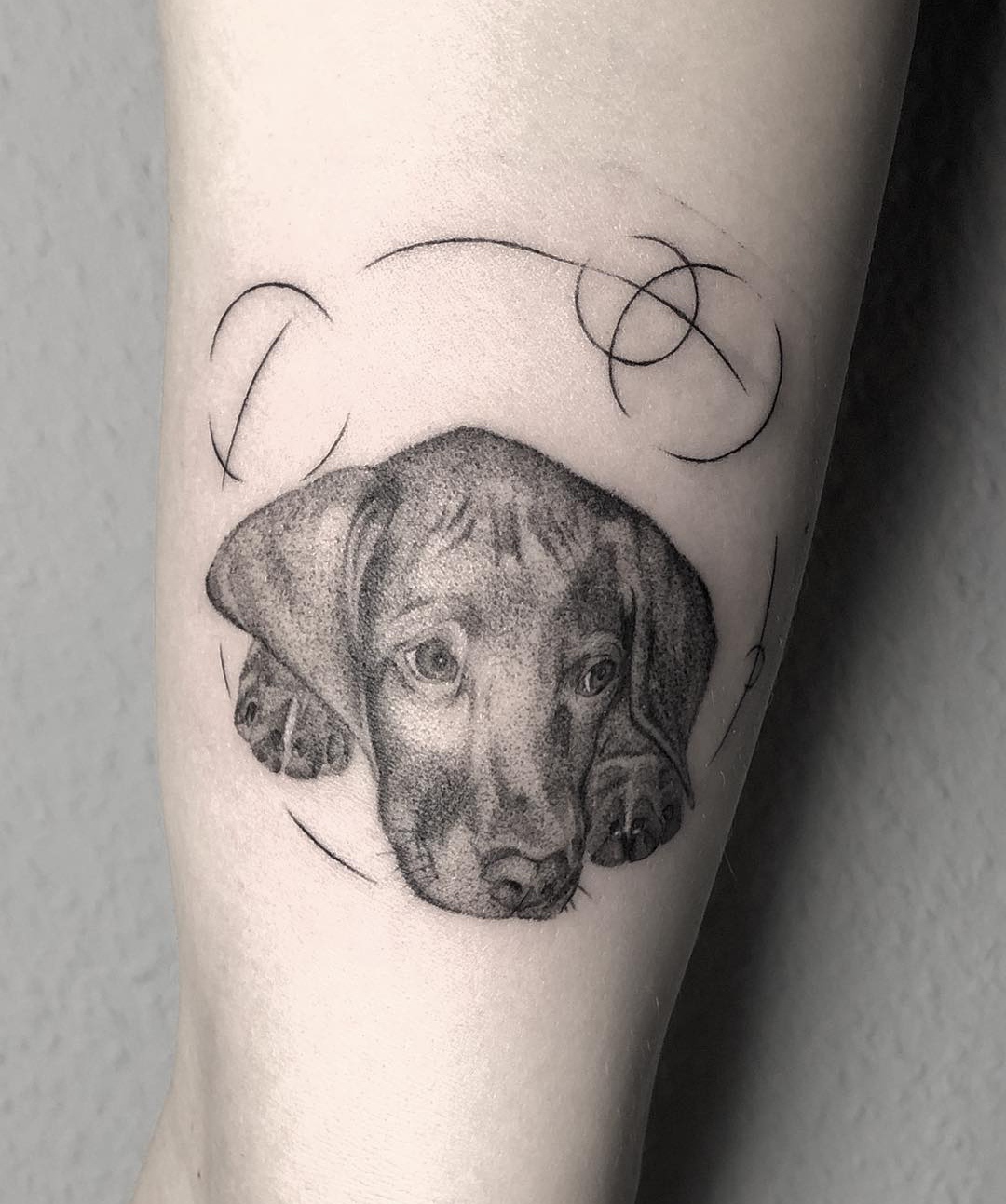 15 Vizsla Tattoo Ideas 10