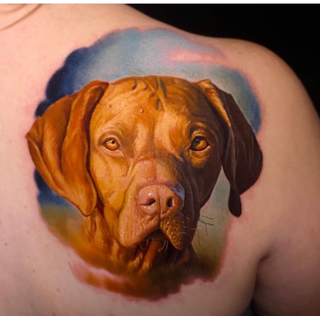 15 Vizsla Tattoo Ideas 11