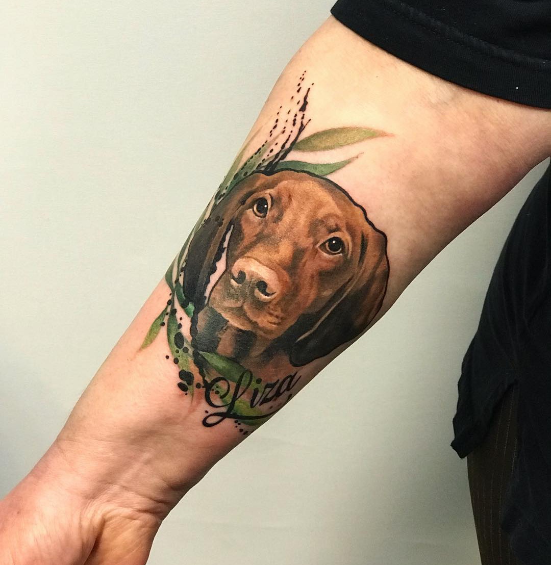 15 Vizsla Tattoo Ideas 10